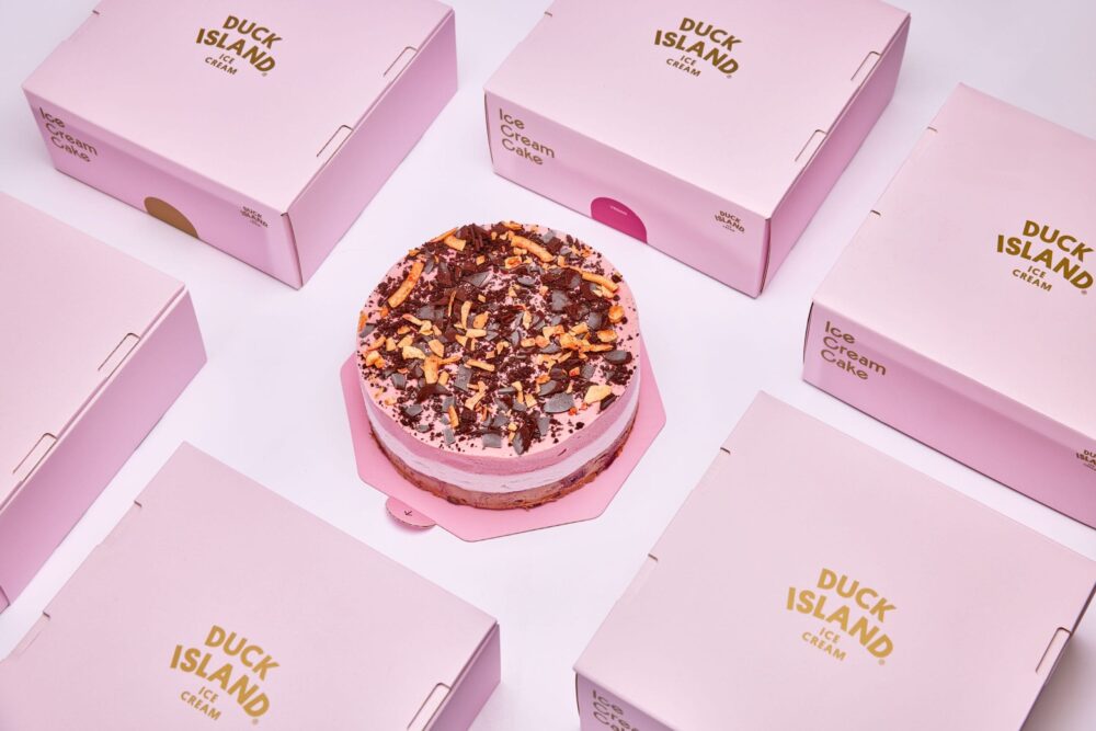 Creative Custom Cake Box Designs for Duck Island Area