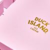 Creative Custom Cake Box Designs for Duck Island Area