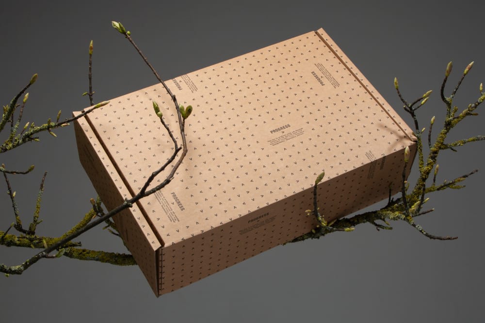 Customised Progress corrugated boxes