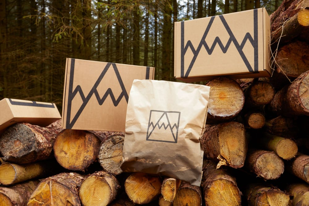 Elevate Your Adventure: Custom Mountaineering Bags in Corrugated Boxes
