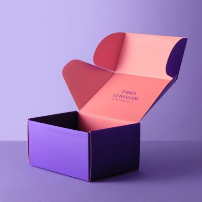 Fashion Corrugated Plane Box