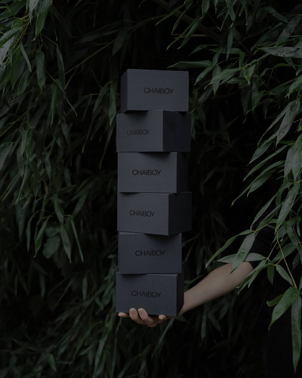 1734326095_Custom-Tea-Packaging-Redefining-Identity-with-Bold-Boxes.jpg