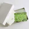 1734372003_Custom-Fragrance-Packaging-Elevate-Your-Senses-with-Elegant-Boxes.jpg