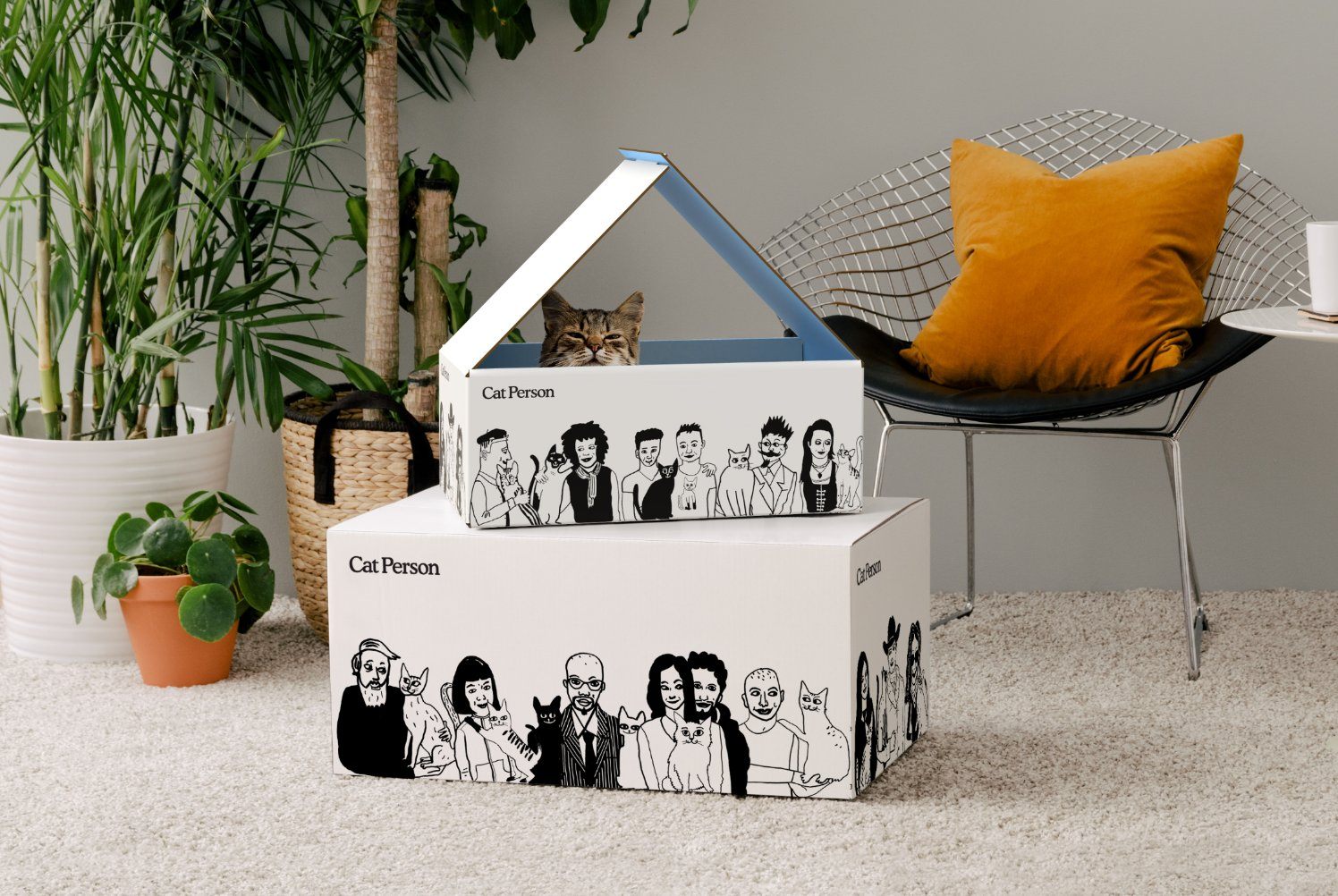 Custom Cat House Packaging